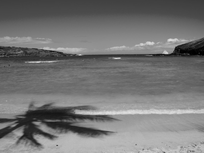 Hawaii_BW