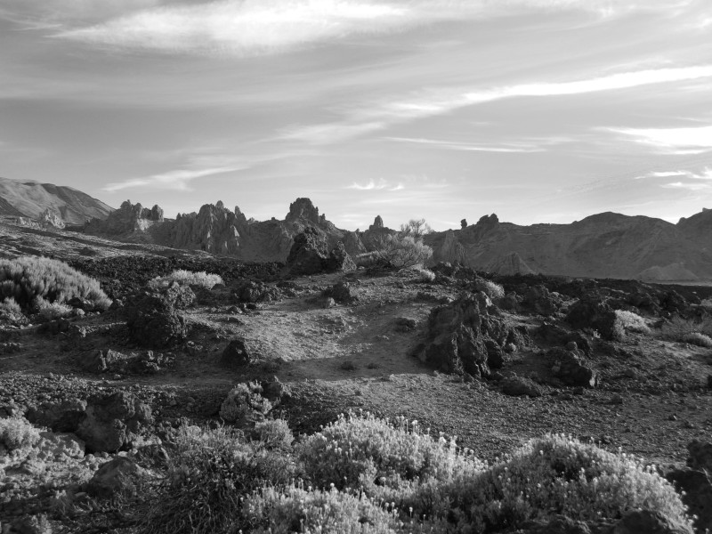 Pod El Teide_BW