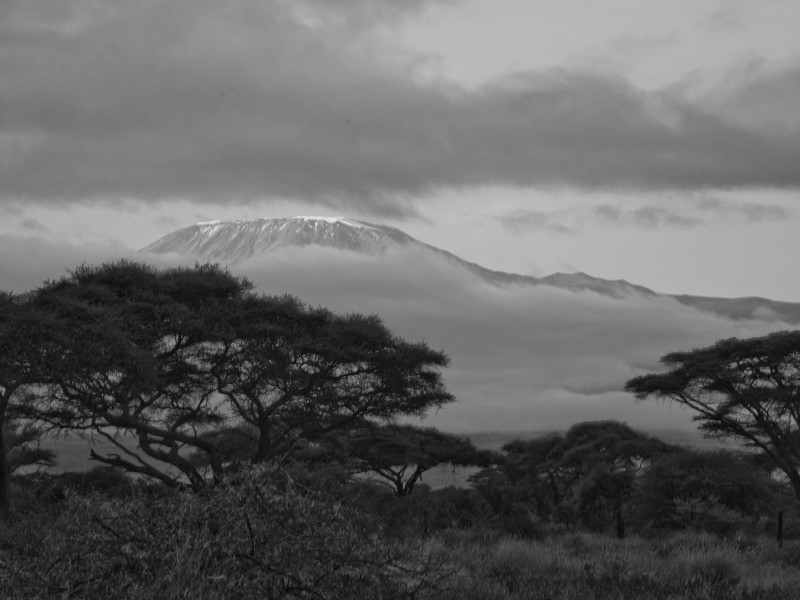 Svítání pod Kilimandžárem_BW